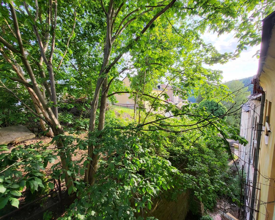Excellent In Center 5 Min Walk From The Colonnade Апартаменти Карлові Вари