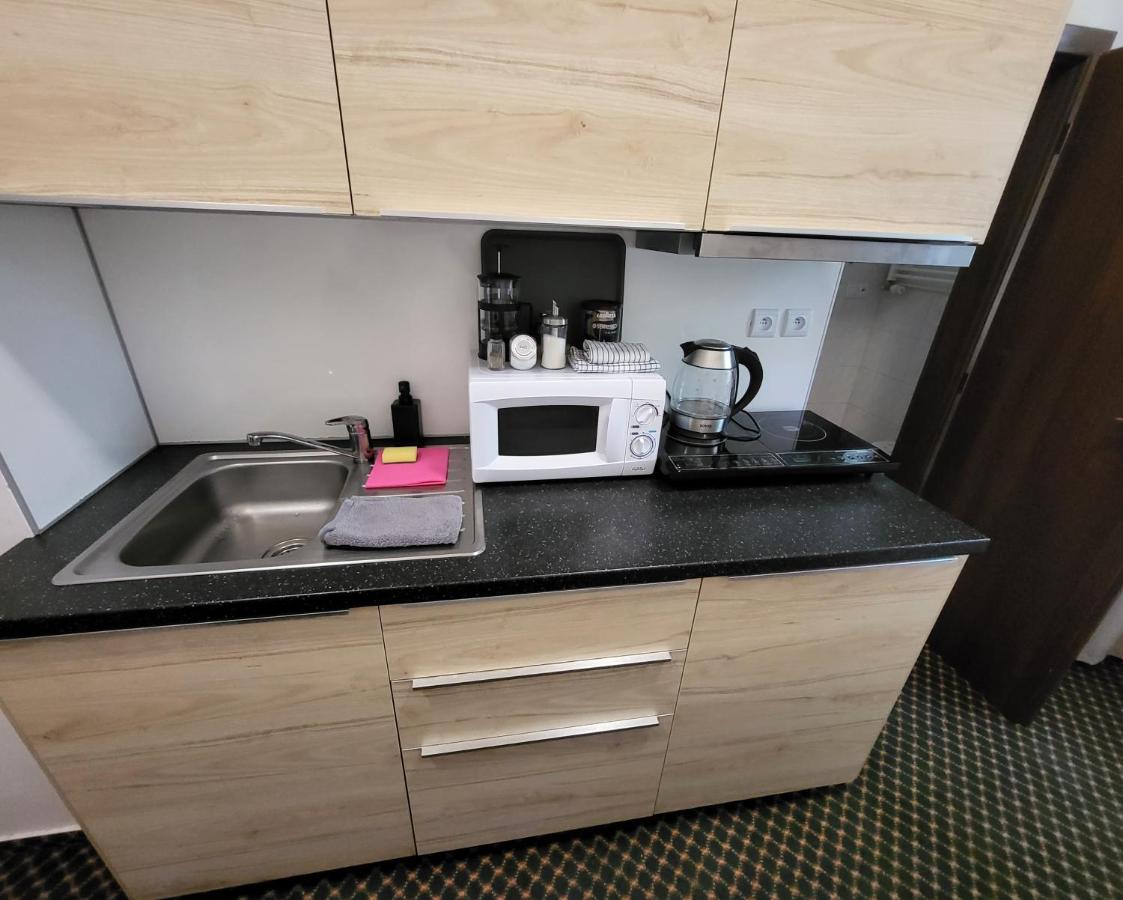 Excellent In Center 5 Min Walk From The Colonnade Апартаменти Карлові Вари